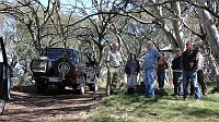 King Billy Saddle-1